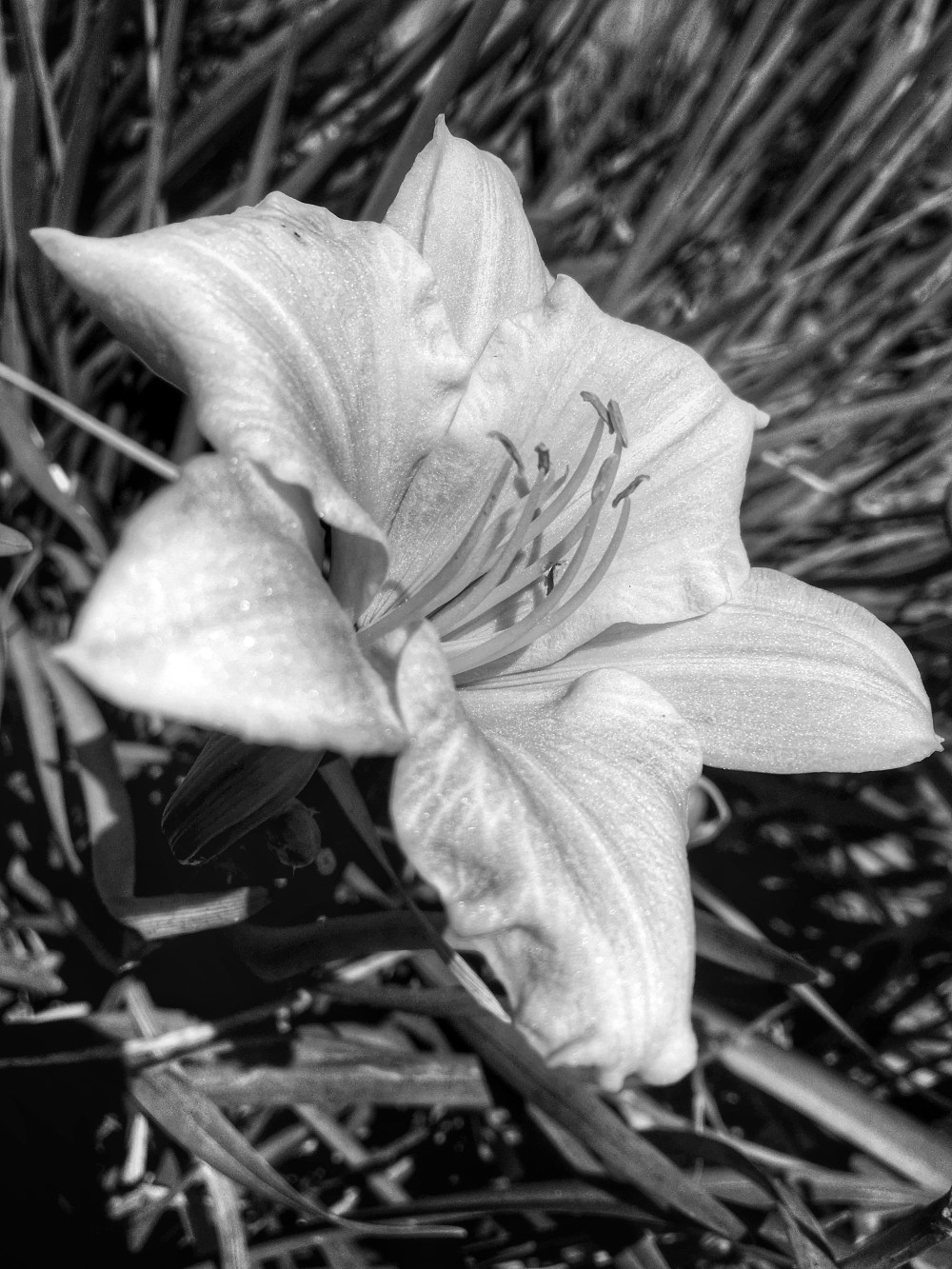 Processed with Snapseed.