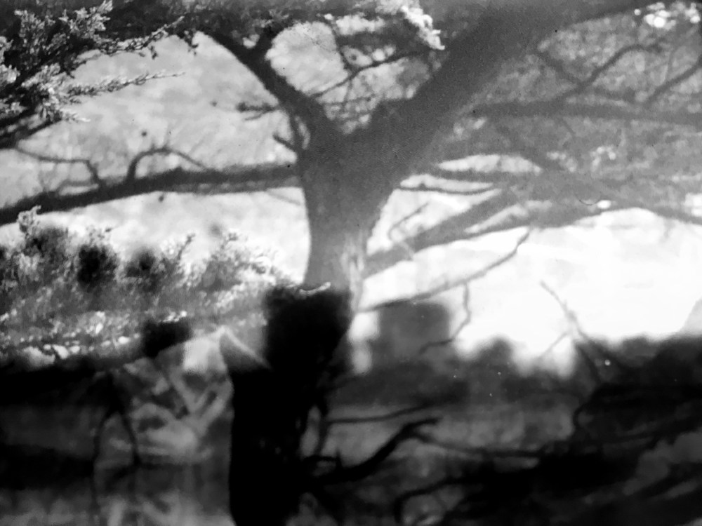 Processed with Snapseed.