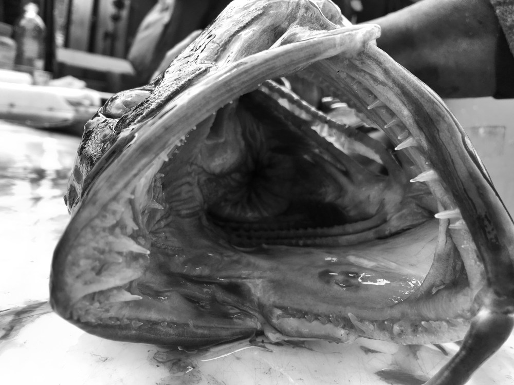 Processed with Snapseed.