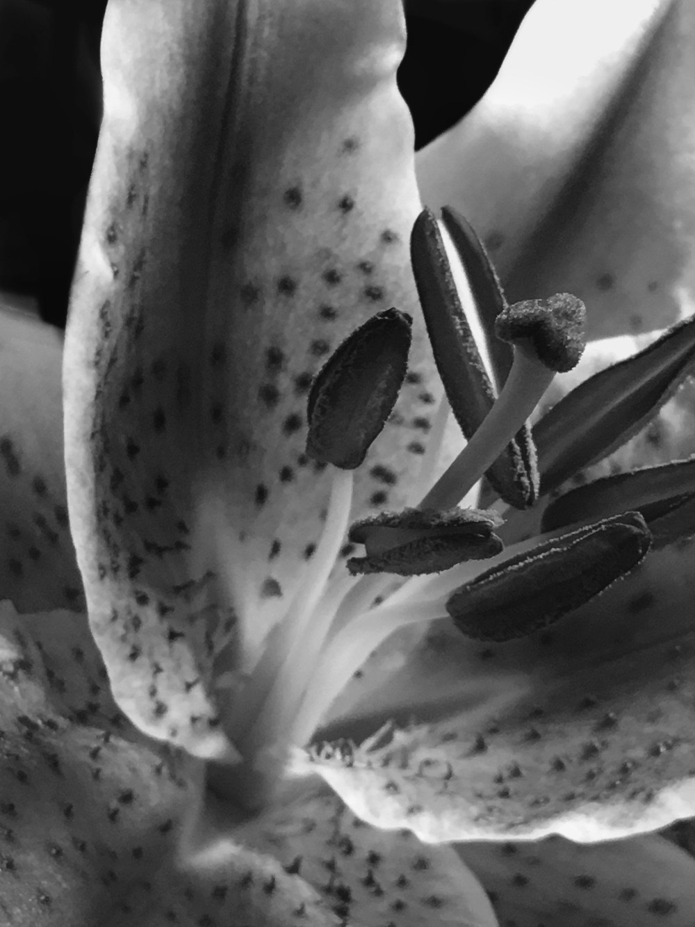 Processed with Snapseed.