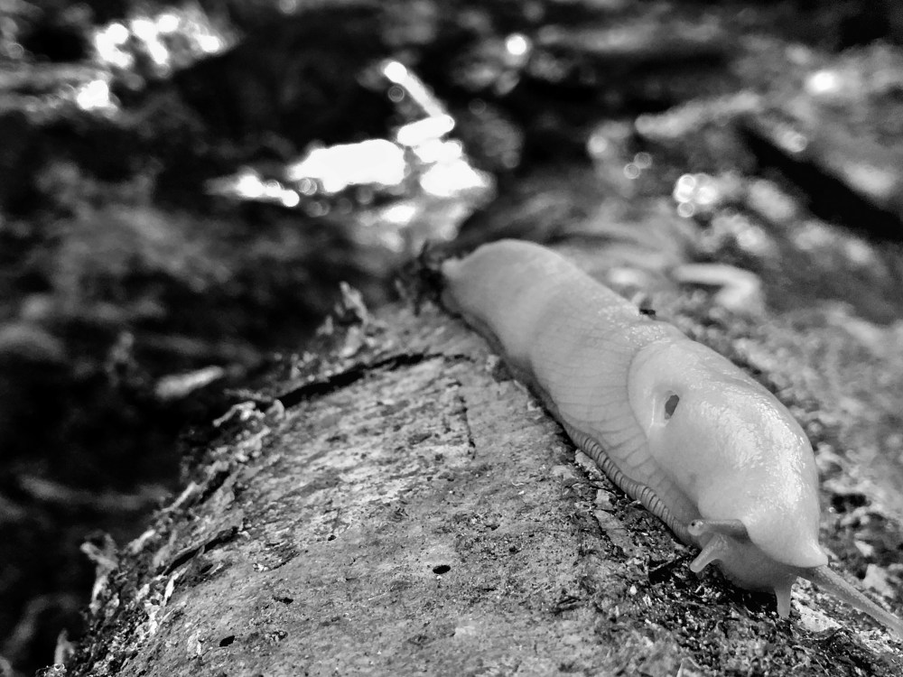 Processed with Snapseed.