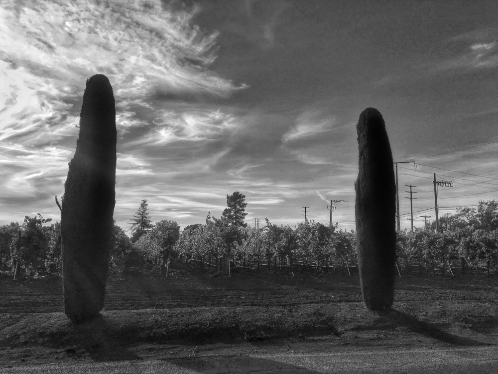 Processed with Snapseed.